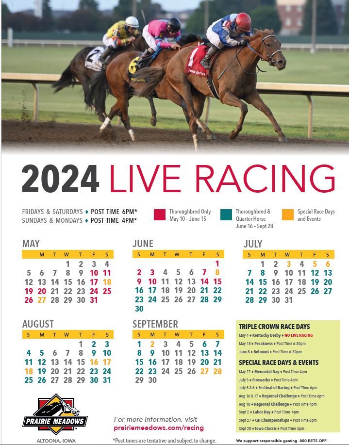 Watch horse 2024 racing online free